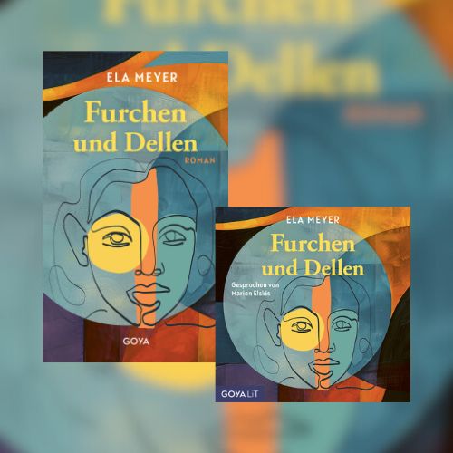 Die Cover des Buchs und des Hörbuchs 'Furchen und Dellen'. Im Hintergrund ist verschwommen ein Teil der Coverillustration zu sehen.